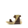 Delta Run Bronzite