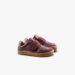 Gobi Sneaker Toddlers Fig